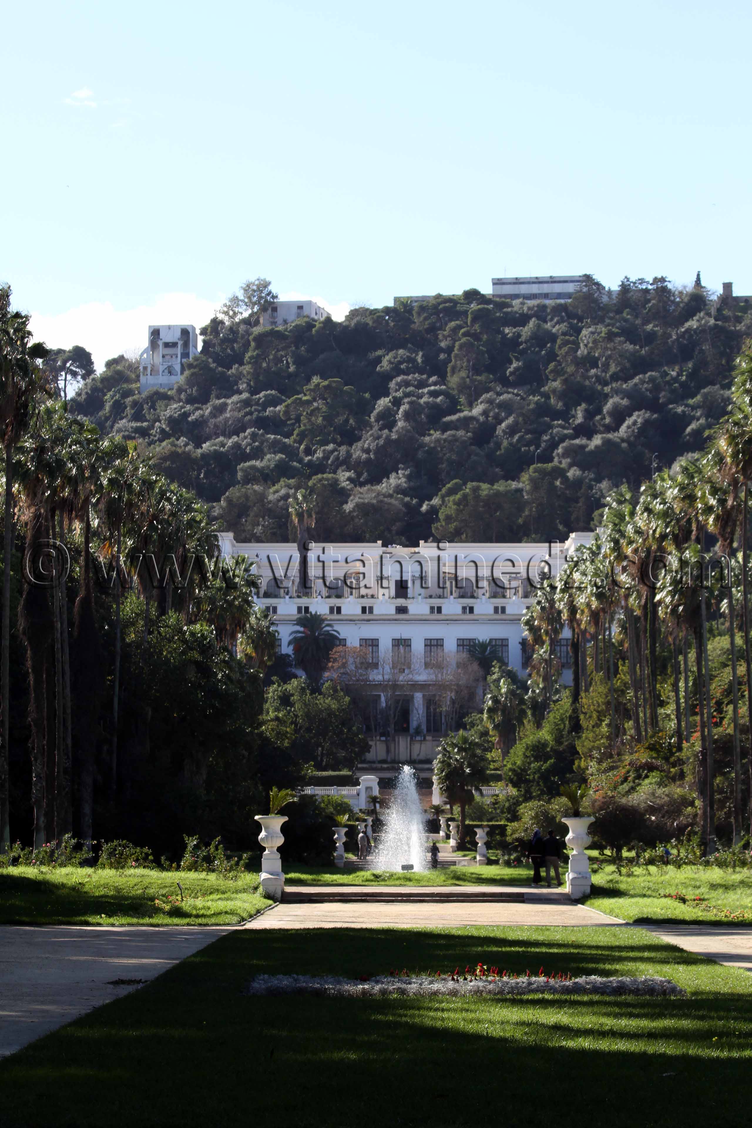 Le Jardin d'Essai d'Alger, au pied du Musée National des Beaux-Arts d'Alger