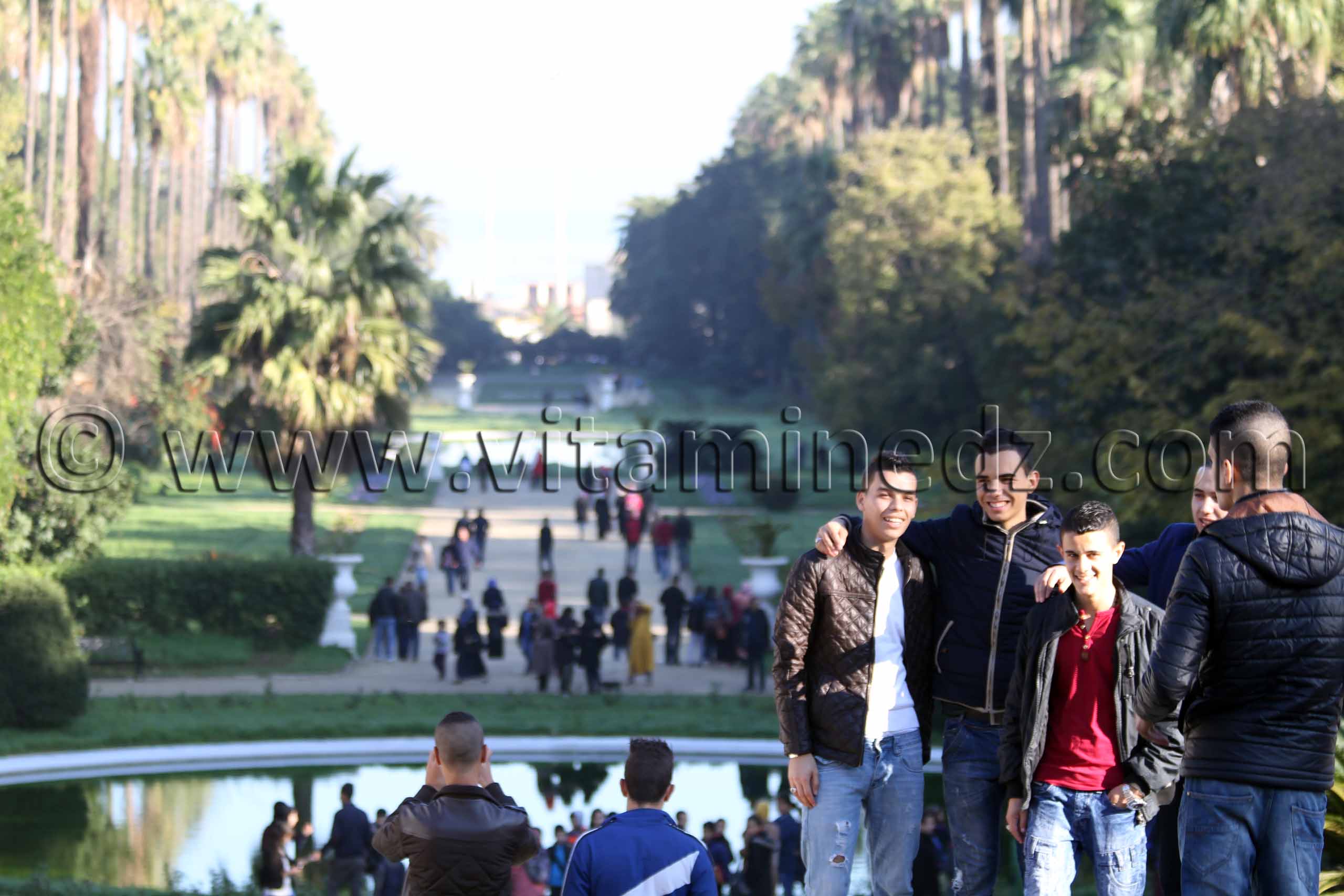 Le Jardin d'Essai d'Alger lieu de promenade fort apprécié des Algérois