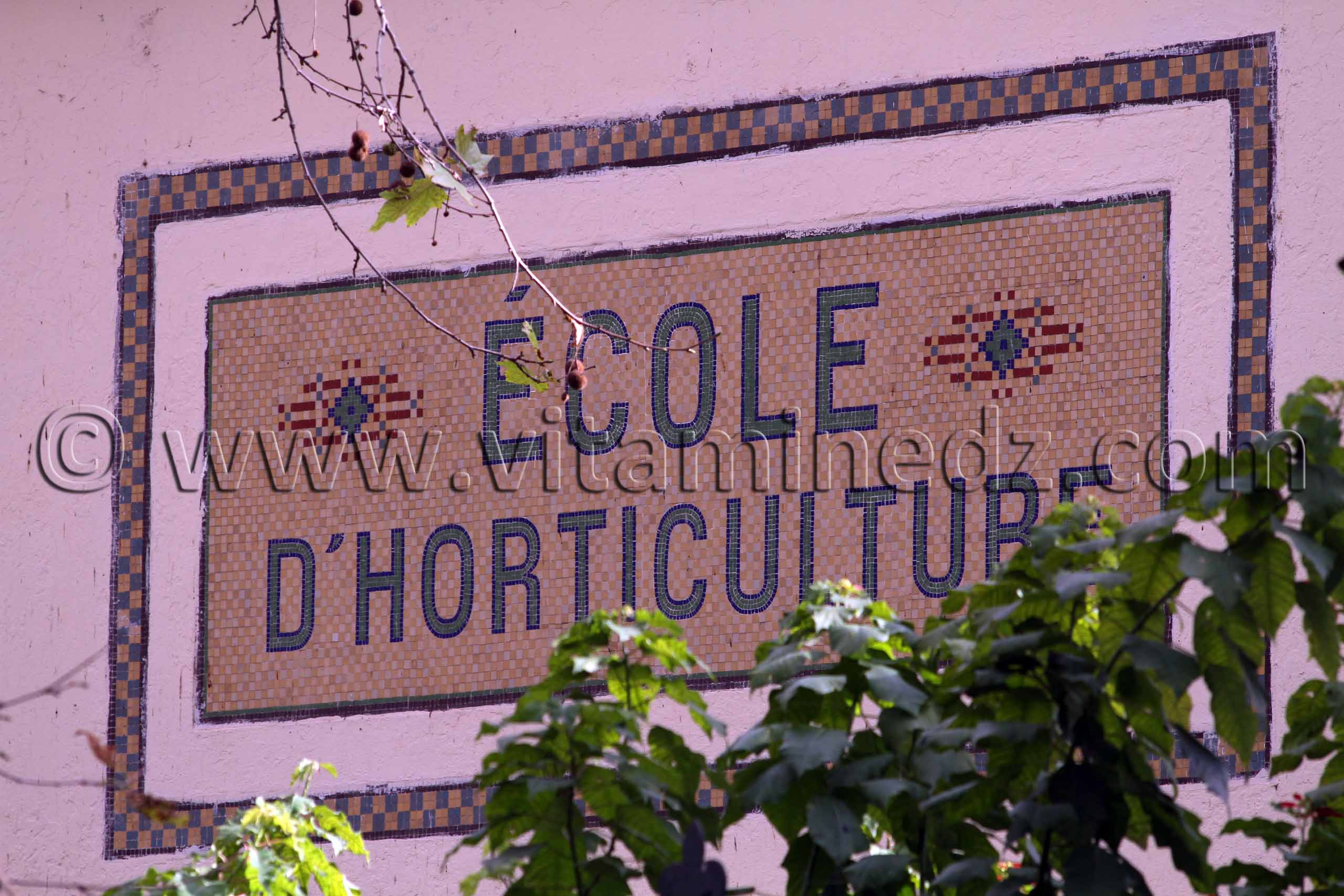 École d’horticulture  Jardin d'Essai d'Alger