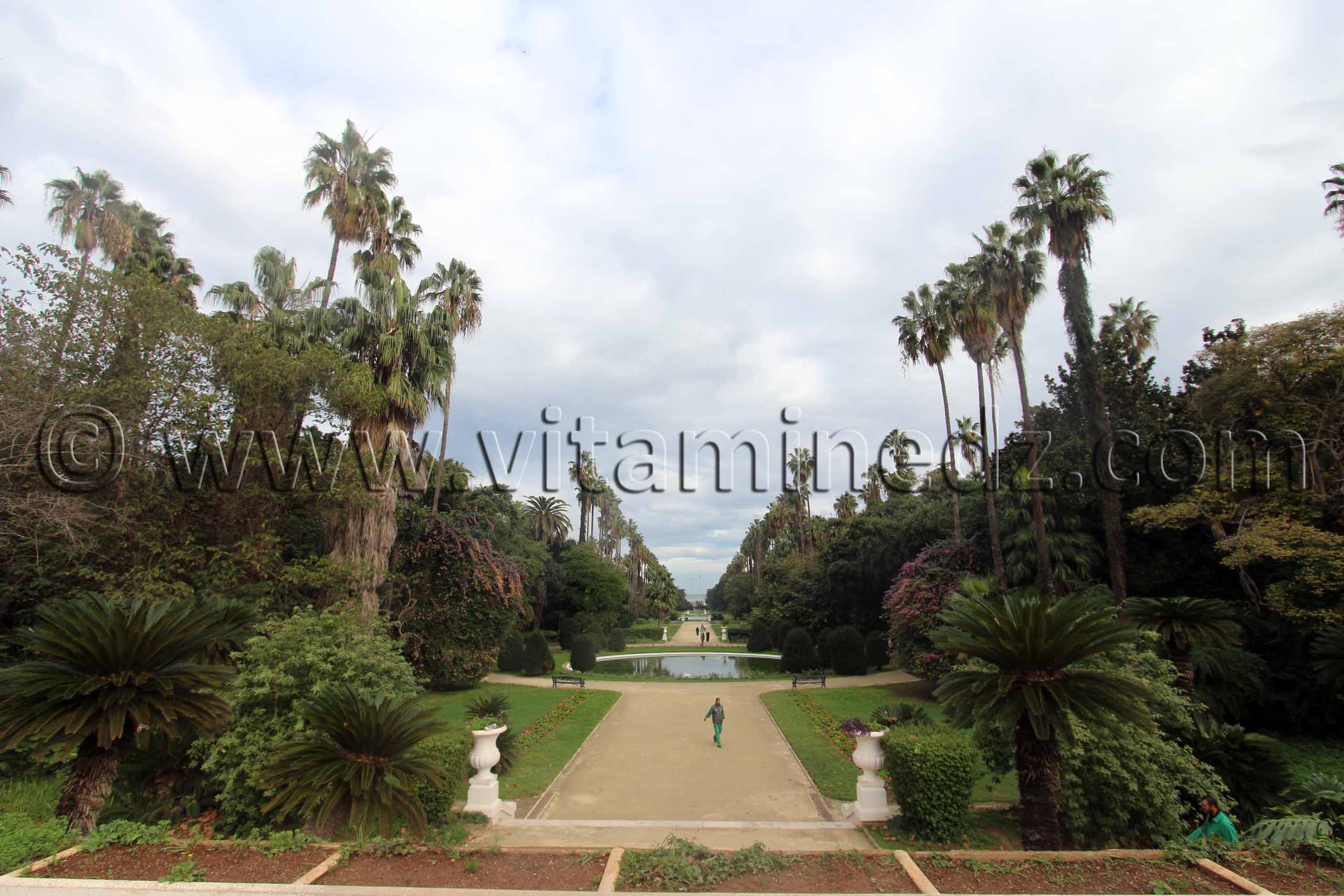 Histoire du Jardin d'Essai d'Alger (Wikipedia)