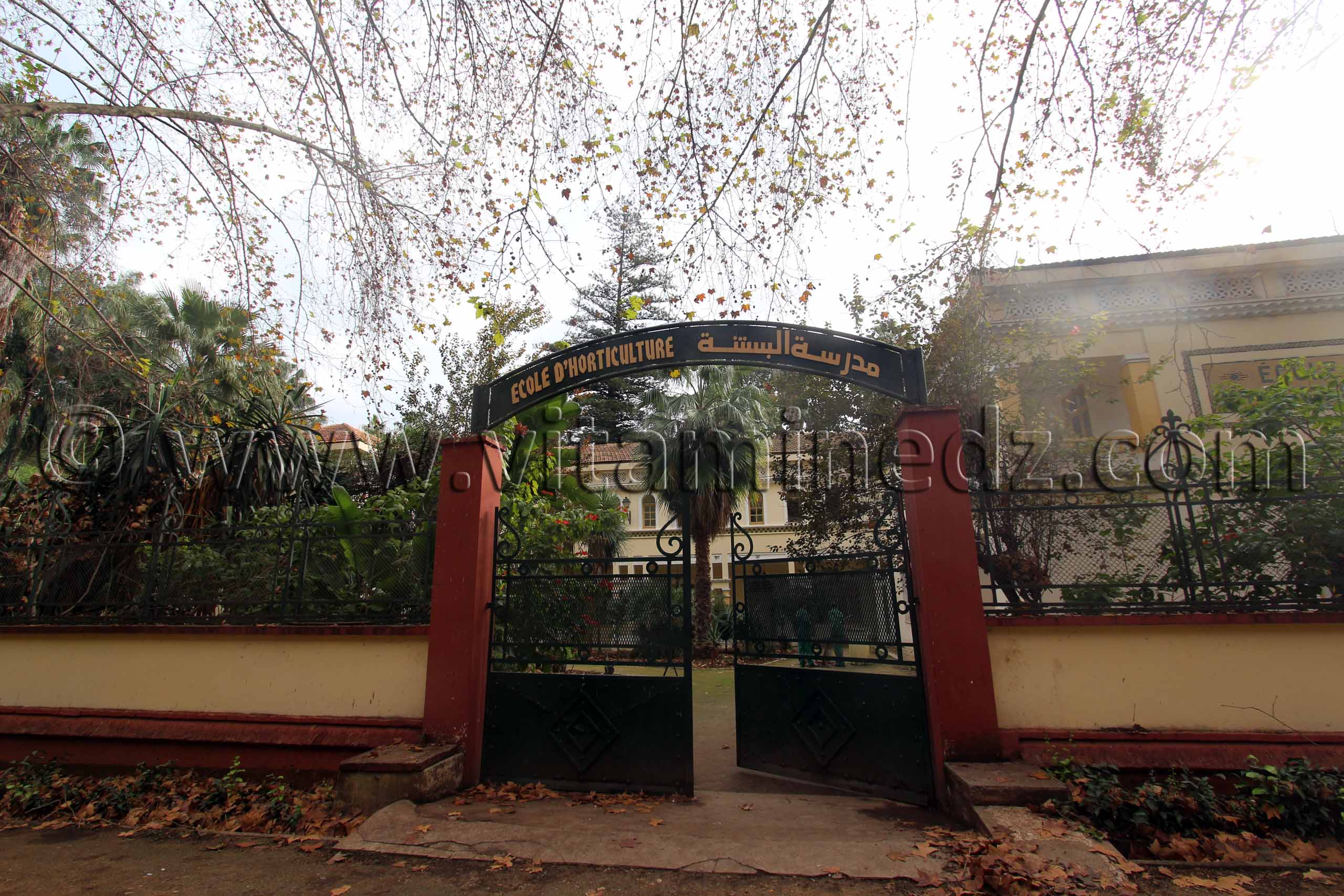 École d’horticulture  Jardin d'Essai d'Alger