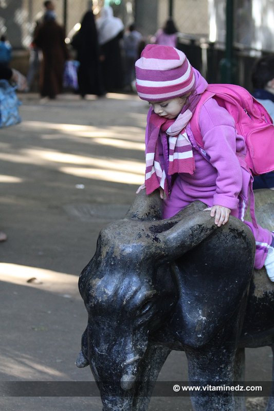 Le Zoo du Jardin d'Essai d'Alger