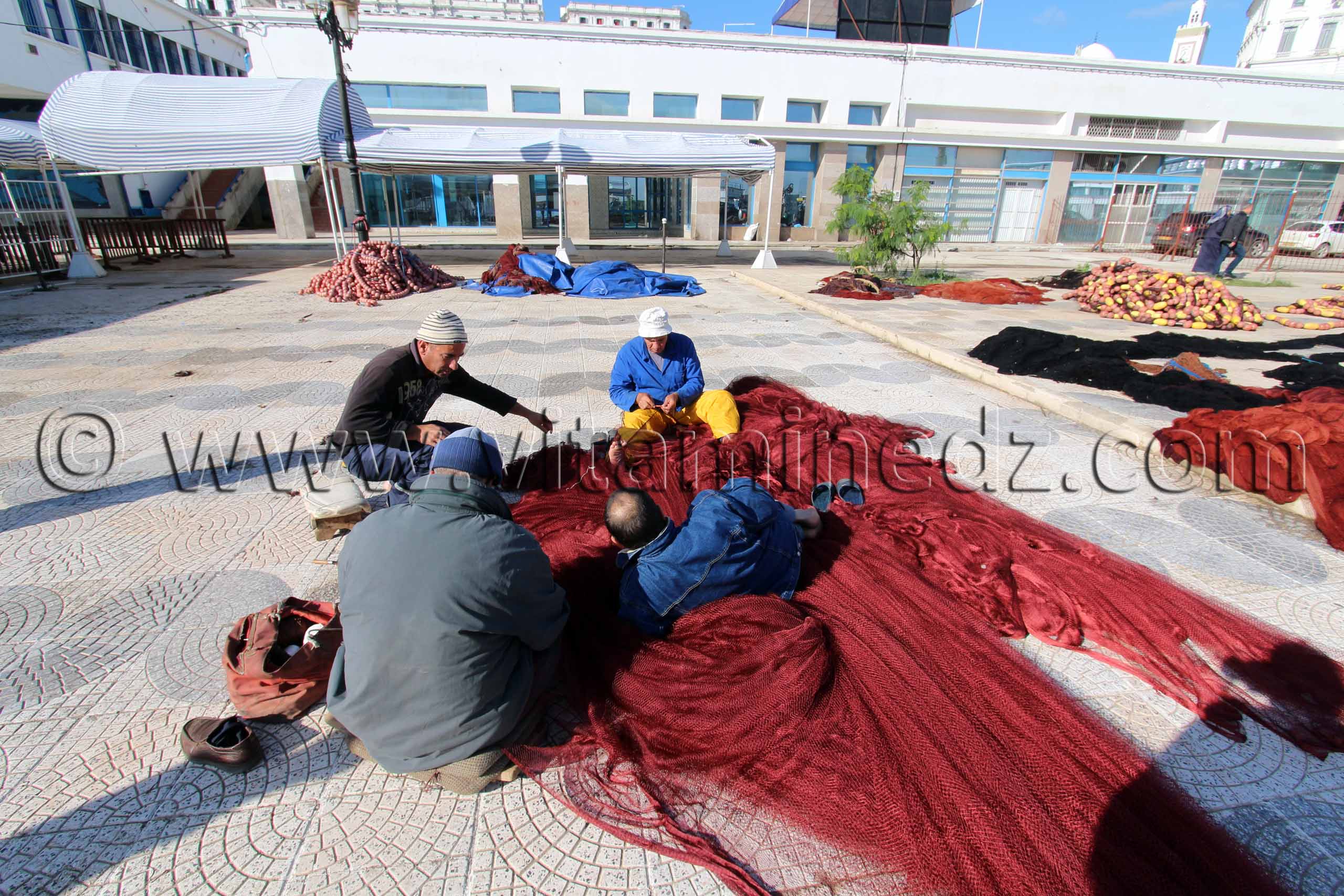 Alger, Port de la pêcherie,pêcheurs.