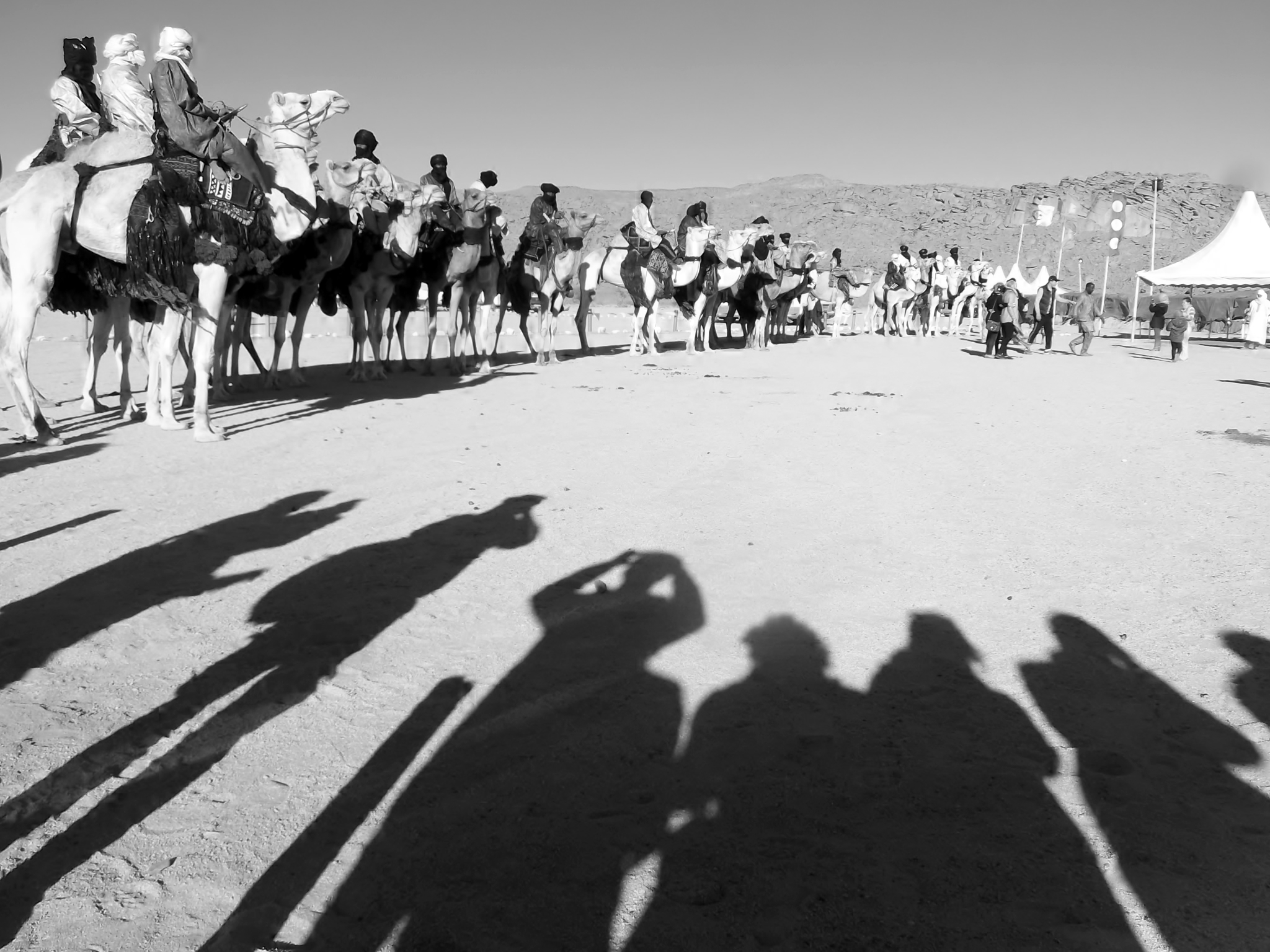 FIATAA 2014 : Cérémonie d'ouverture - Parade de dromadaire (campement de Tidessi)