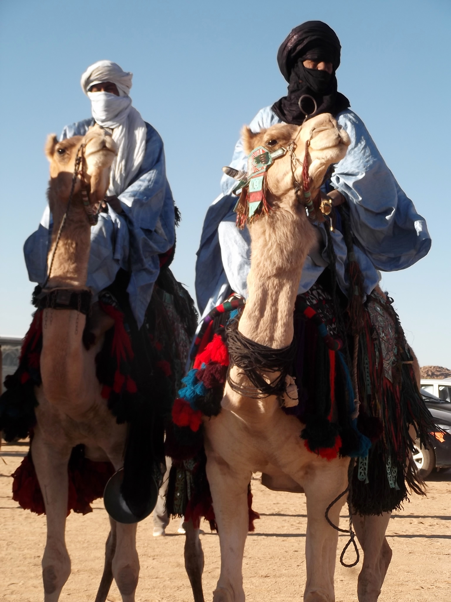 FIATAA 2014 : Cérémonie d'ouverture - Parade de dromadaire (campement de Tidessi)