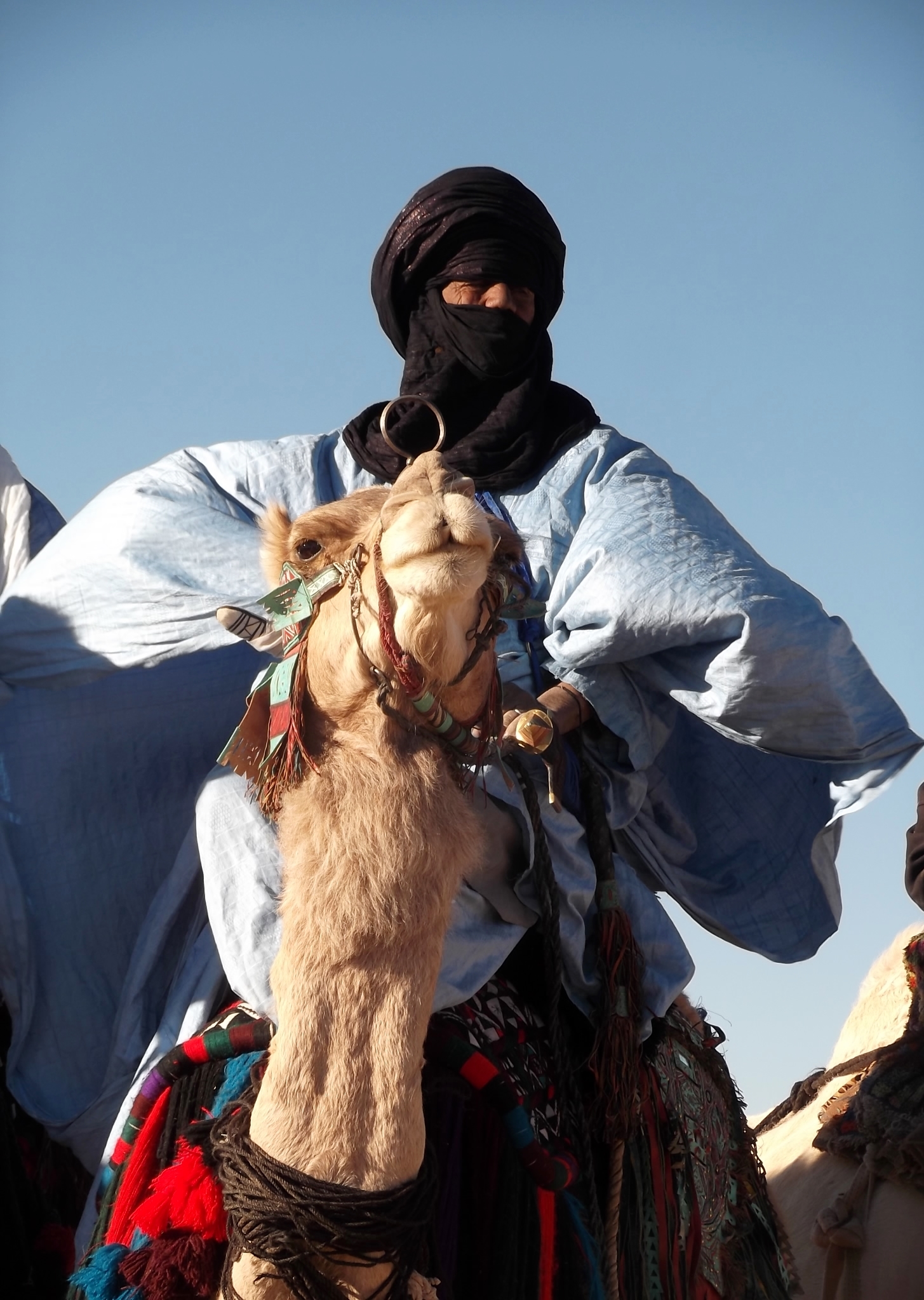FIATAA 2014 : Cérémonie d'ouverture - Parade de dromadaire (campement de Tidessi)