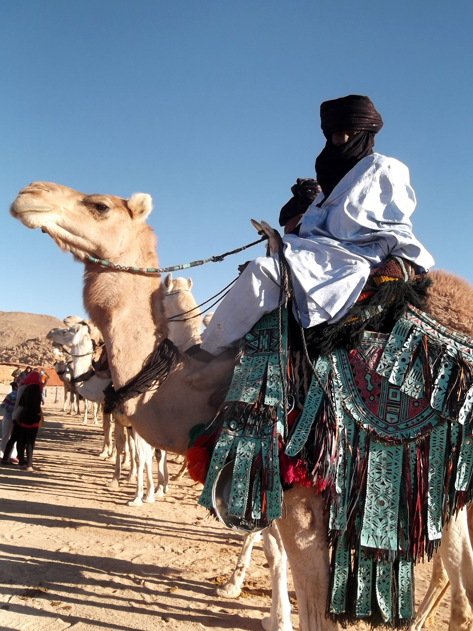 FIATAA 2014 : Cérémonie d'ouverture - Parade de dromadaire (campement de Tidessi)