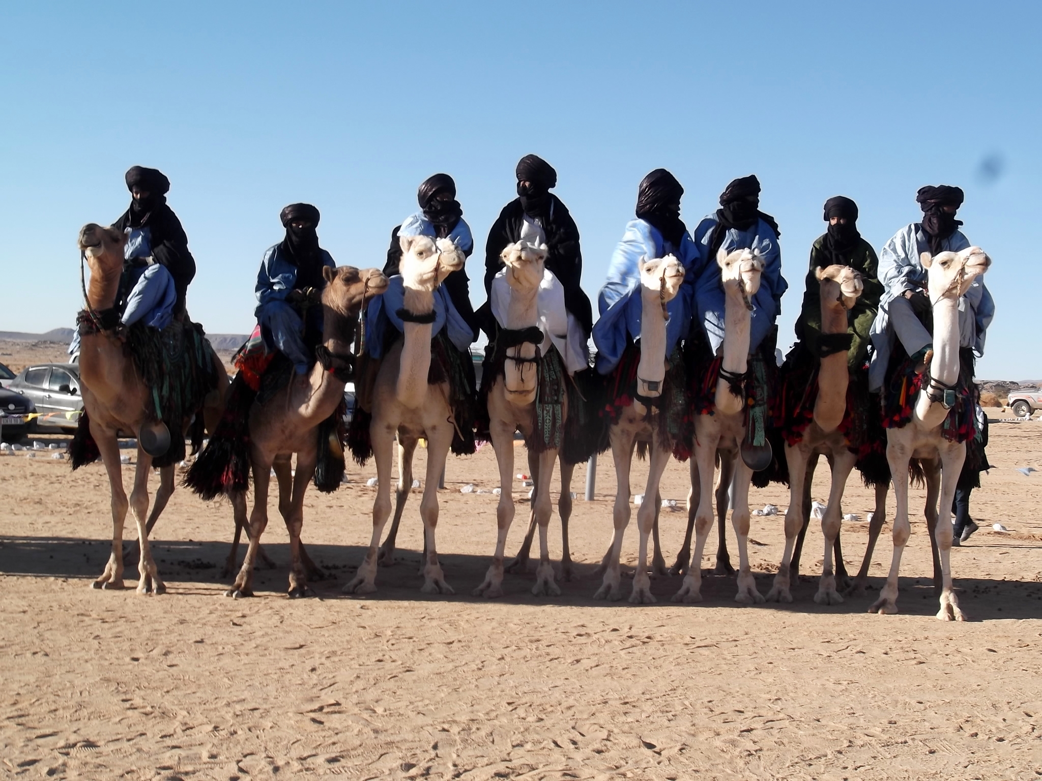 FIATAA 2014 : Cérémonie d'ouverture - Parade de dromadaire (campement de Tidessi)