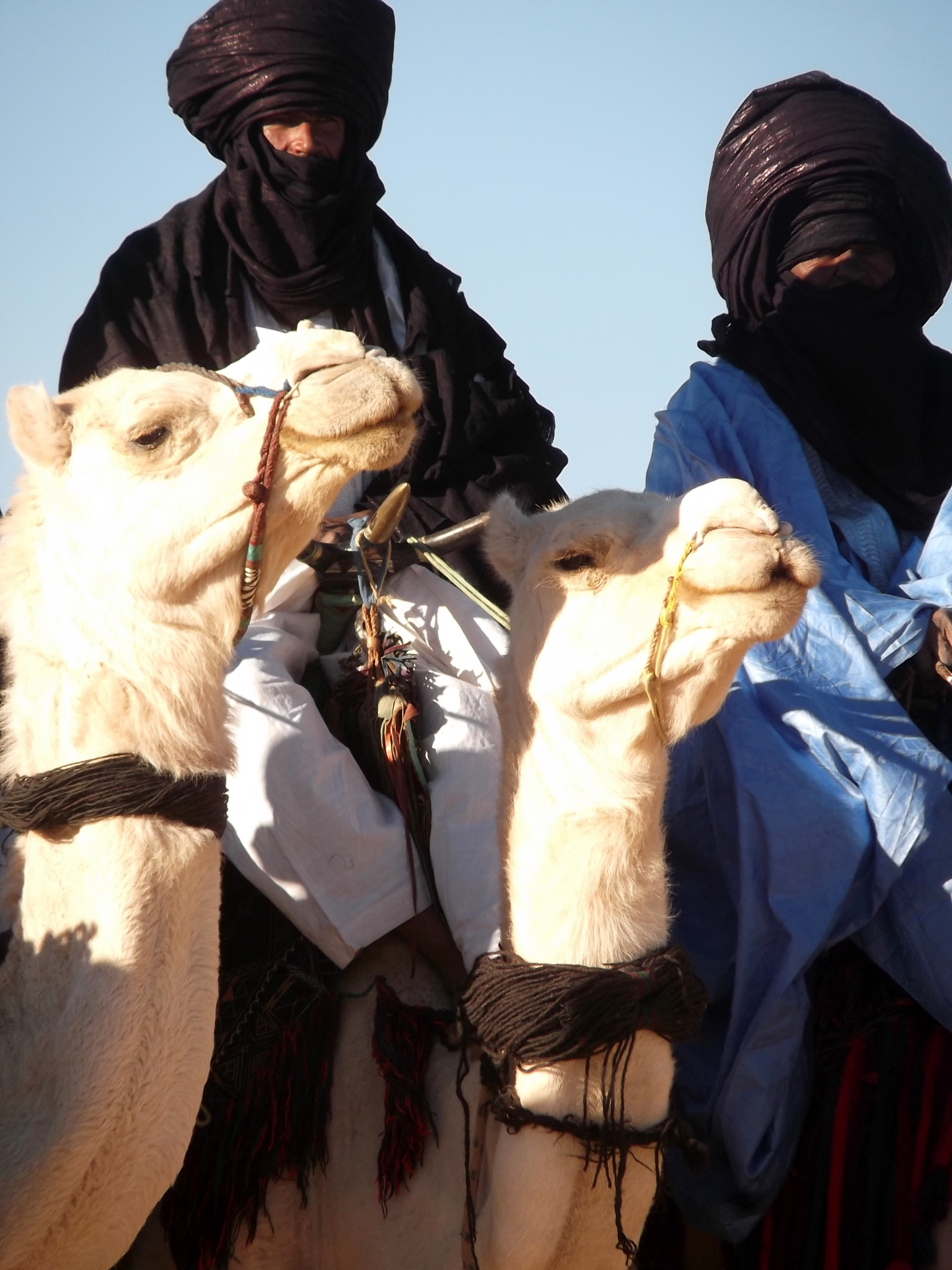 FIATAA 2014 : Cérémonie d'ouverture - Parade de dromadaire (campement de Tidessi)