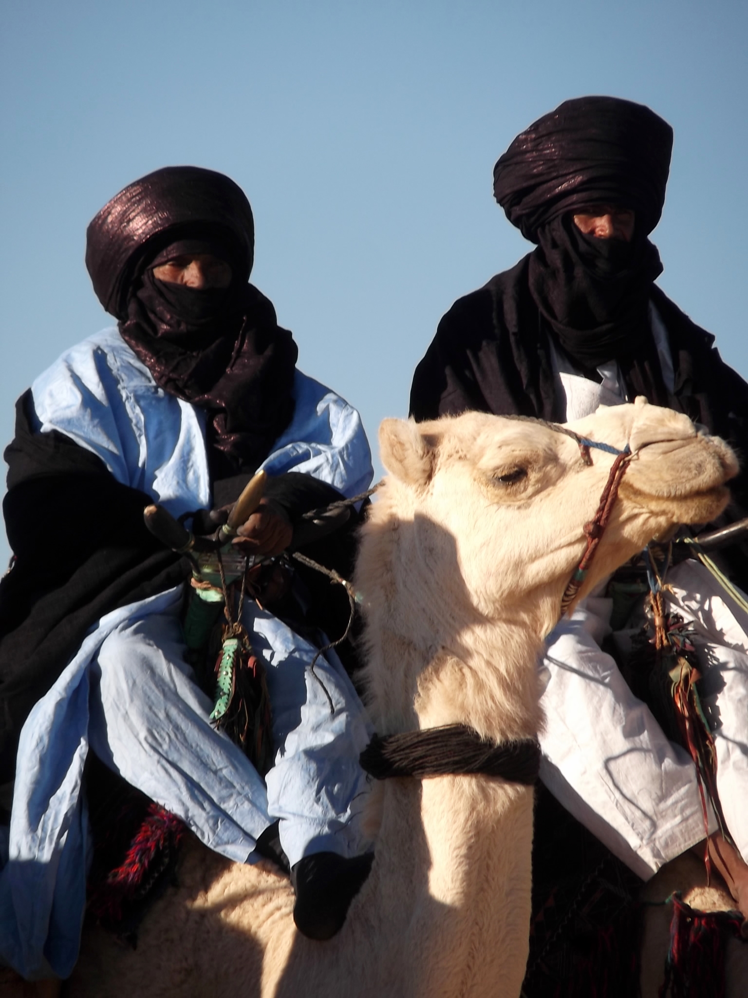 FIATAA 2014 : Cérémonie d'ouverture - Parade de dromadaire (campement de Tidessi)