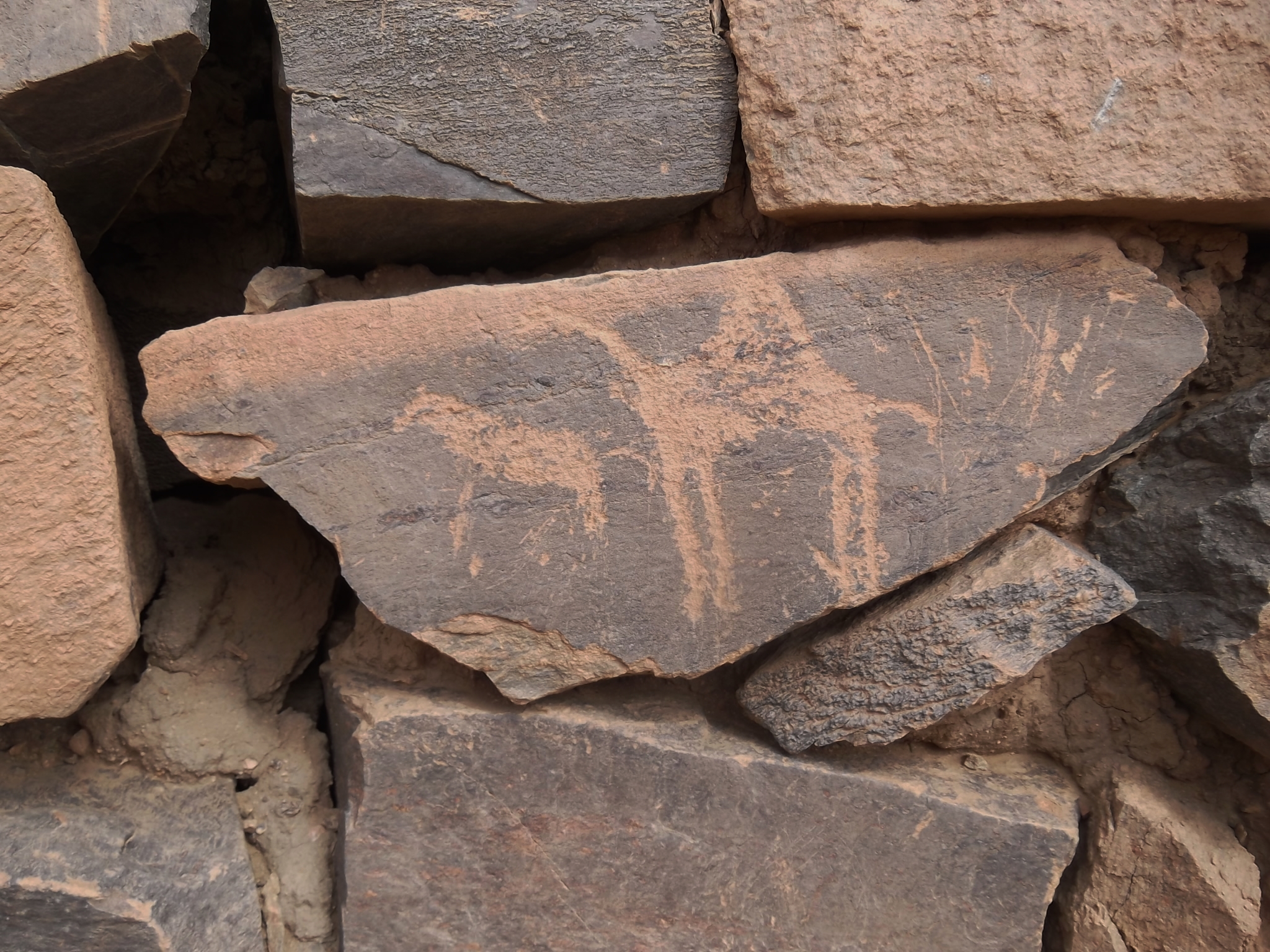 Gravure rupestre - Tombeau de Tin-Hinan à Abalessa (Tamanrasset)