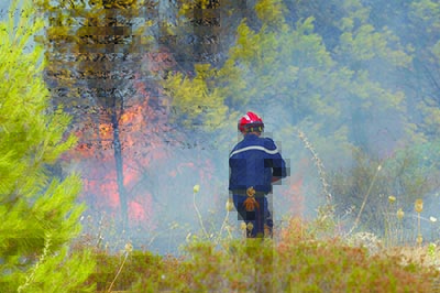 Feux de forêt à Médéa: Des crimes impunis
