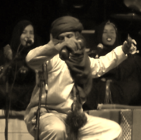 FIATAA 2014: Zingdah (Tende Disswat) - Danse du guerrier