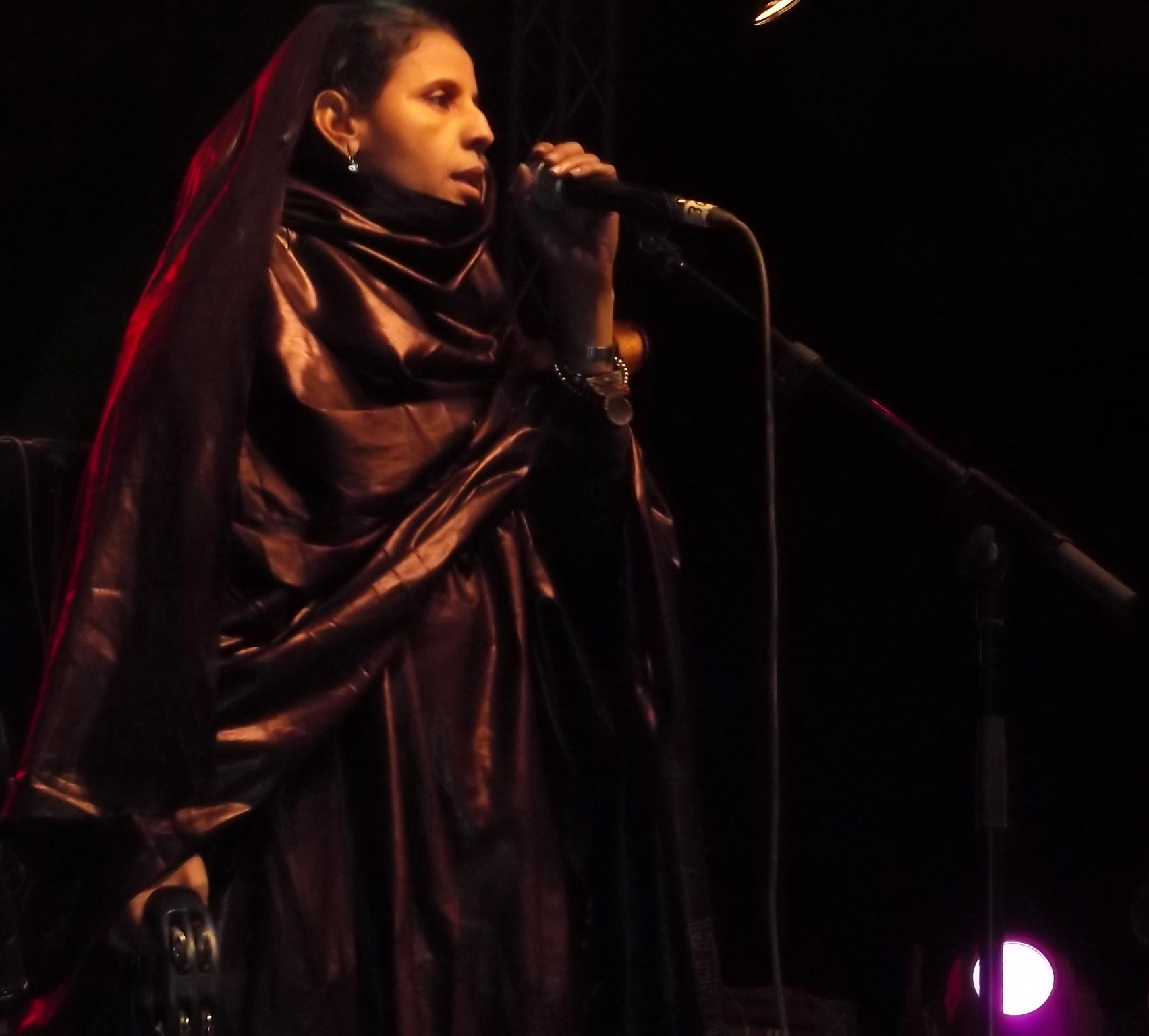 FIATAA 2014: Aminatou Goumar (Toumast)