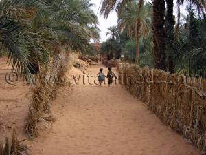 Oasis de Tala, véritable havre de paix, en 2006 le bitume n\'y arrivait pas encore