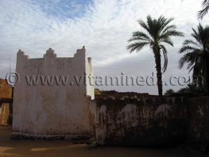 Marabout Oasis de Tala, véritable havre de paix