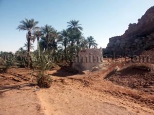 Marabout Oasis de Guentour et ses Ksour