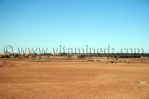 le lac Hassi El Gara à El Ménéa (El Golea)