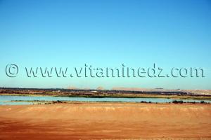 le lac Hassi El Gara à El Ménéa (El Golea)