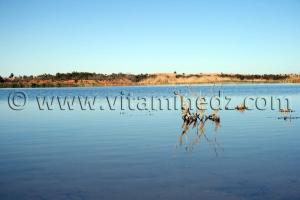 le lac Hassi El Gara à El Ménéa (El Golea)