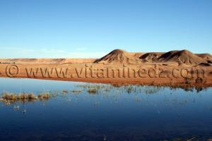 le lac Hassi El Gara à El Ménéa(El Golea)