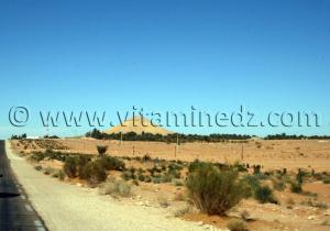 Mansoura, Commune Au Sud de Ghardaïa