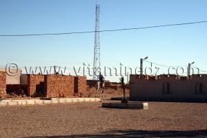 Chamelier à Mansoura, Commune Au Sud de Ghardaïa
