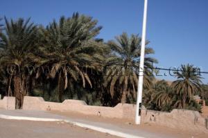 Palmeraie Metlili Chaamba