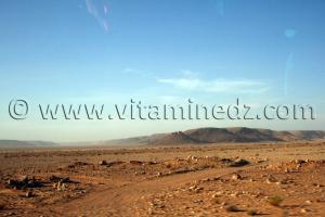 Metlili Chaamba, une zone aride inhospitalière