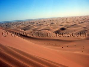 Tingmar, La plus grande dune du Gourara (Erg Occidental)