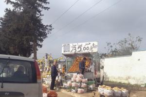 Arrêt sur image - Vu à Alger:  Information urgente