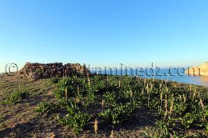 Sidi Bellakhal, supplombant la Plage de Zouanif