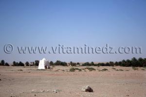 Marabout Abenkour Commune de Tamentit, Wilaya d\'Adrar