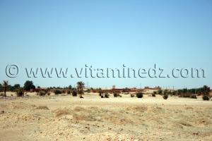 Aghil Commune de Tamest, wilaya d\'Adrar