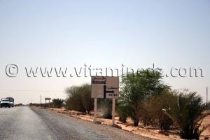 Antar, Commune de Tamest, wilaya d\'Adrar