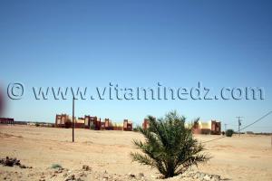 Commune de Tamest, wilaya d\'Adrar