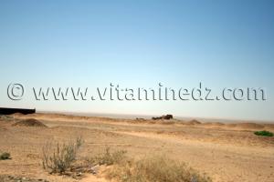 Ksar Abandonné Commune de Zaouiet Kounta, wilaya d\'Adrar