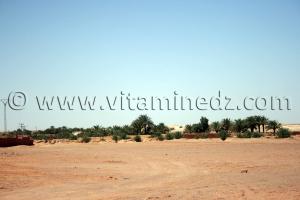 Tiouririne, Commune de Zaouiet Kounta, wilaya d\'Adrar