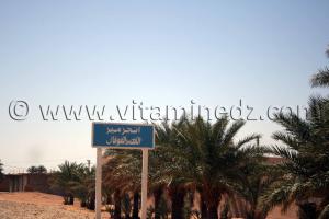 Ksar Foukani de Inzegmir, wilaya d\'Adrar