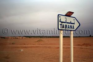 Tamana, Commune de Timimoun