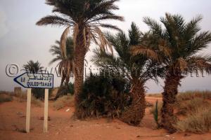 Ouled Tahar, Commune de Timimoun