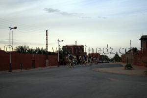 Meharistes à Timimoun