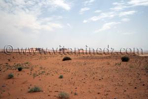 Commune de Ouled Said, wilaya d\'Adrar