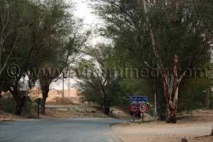 Oued Saoura à Igli, Wilaya de Béchar