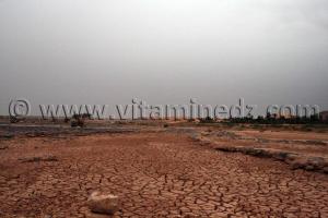 Oued Saoura à Igli, Wilaya de Béchar