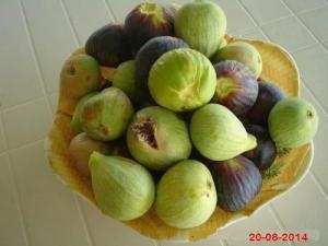 les figues de mes figuiers  a OULED AISSA  ZATIMA  BENIMILEUK