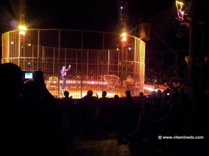 Cage des Tigres, Cirque Amar (Il Florilegio)