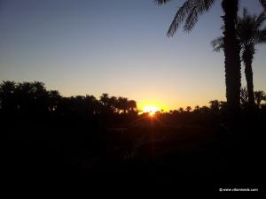 Gourara, Timimoun : Lever de soleil sur la palmeraie de Guentour