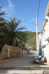 Tlemcen - Ruelles de Sidna Youchaa l\'automne