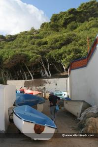 Tlemcen - Sidna Youchaa l\'automne; Dr Yadi cherchant ses coquillages